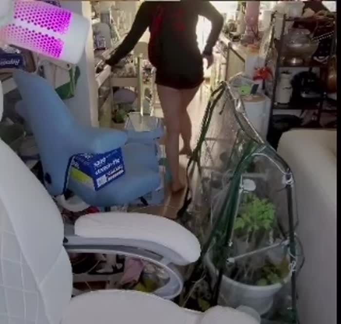 Angela Don Nude Twitch Videos – Ariasaki Porn Nudes